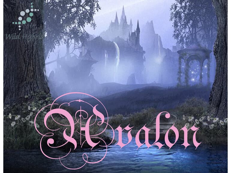 Avalon - Wild Hybrid by Wild Hybrid