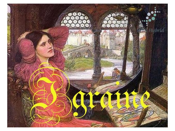 Igraine by Wild Hybrid