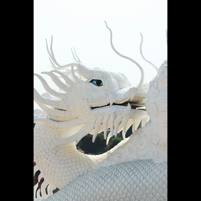 White Dragon by Fyrinnae