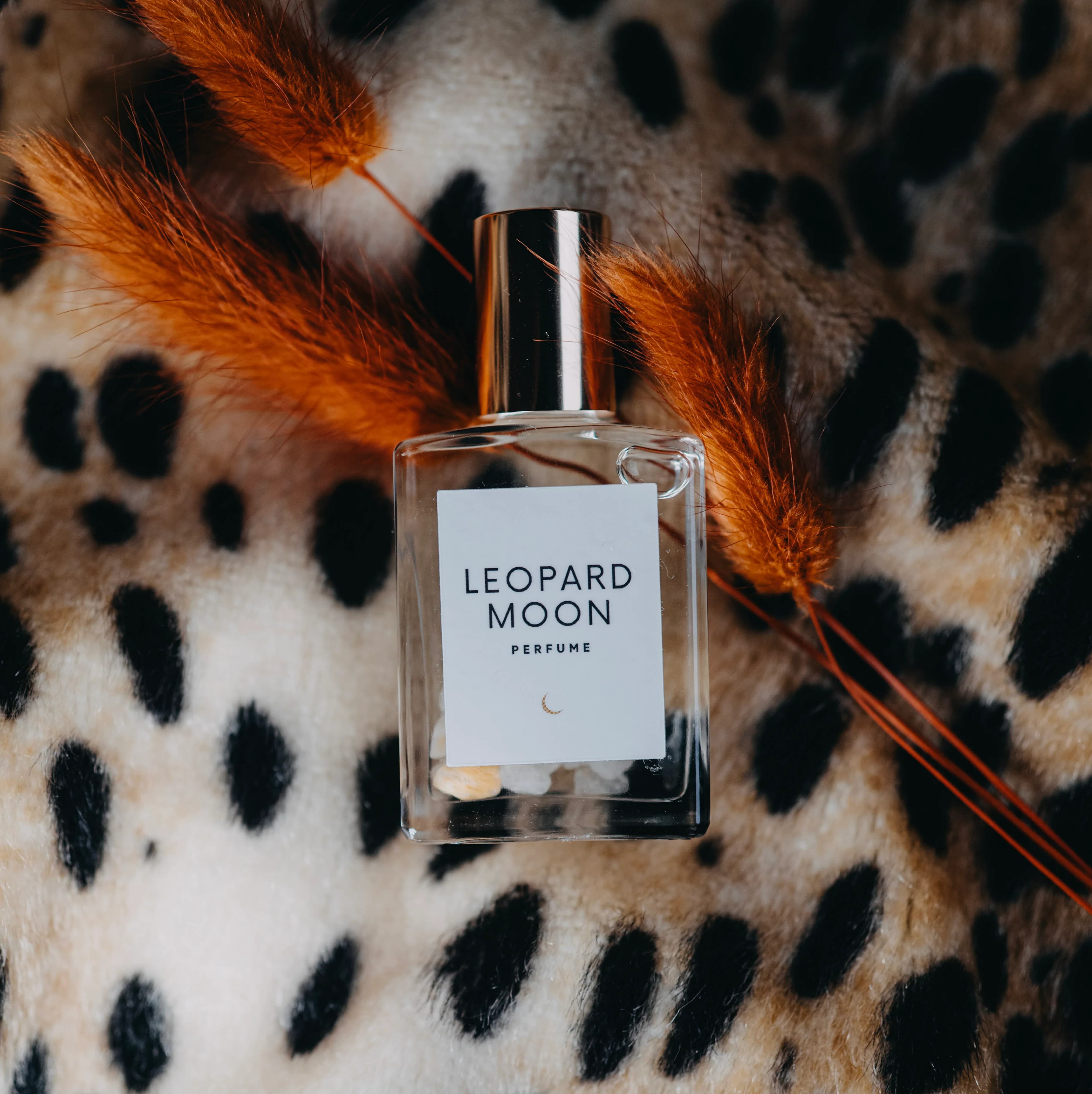 Leopard Moon by Olivine Atelier