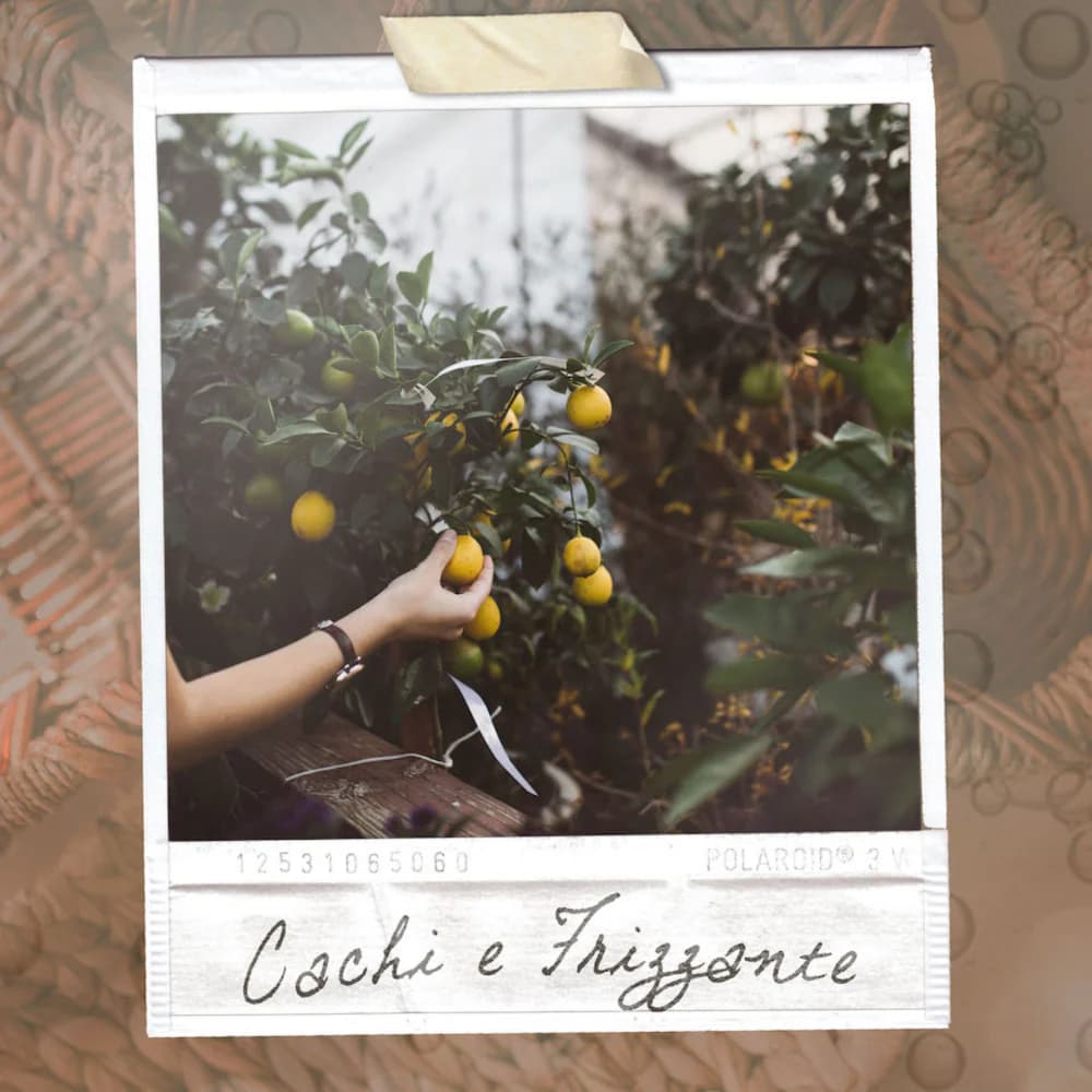 Cachi E Frizzante Perfume Bottle