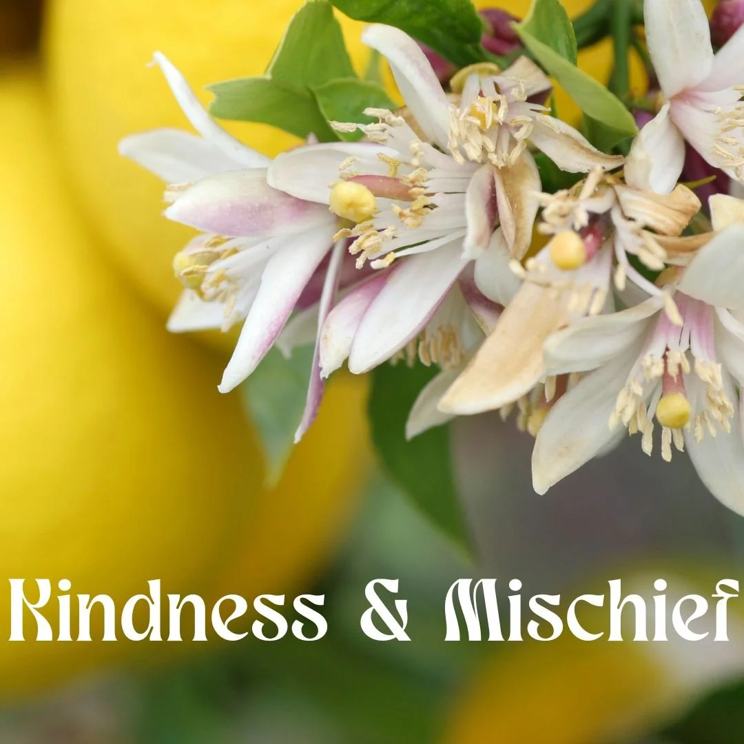 Kindness & Mischief Perfume Bottle
