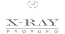 X-Ray