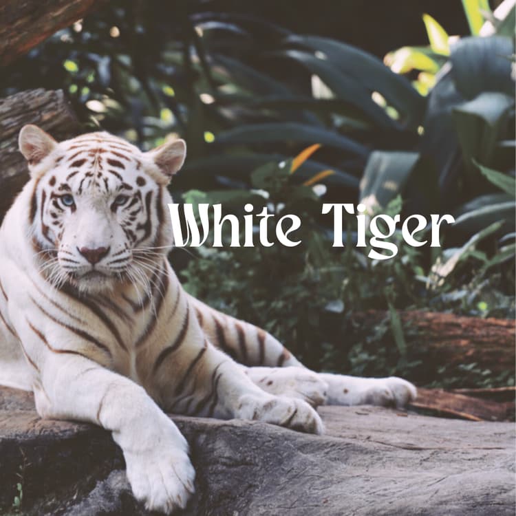 White Tiger Perfume Bottle