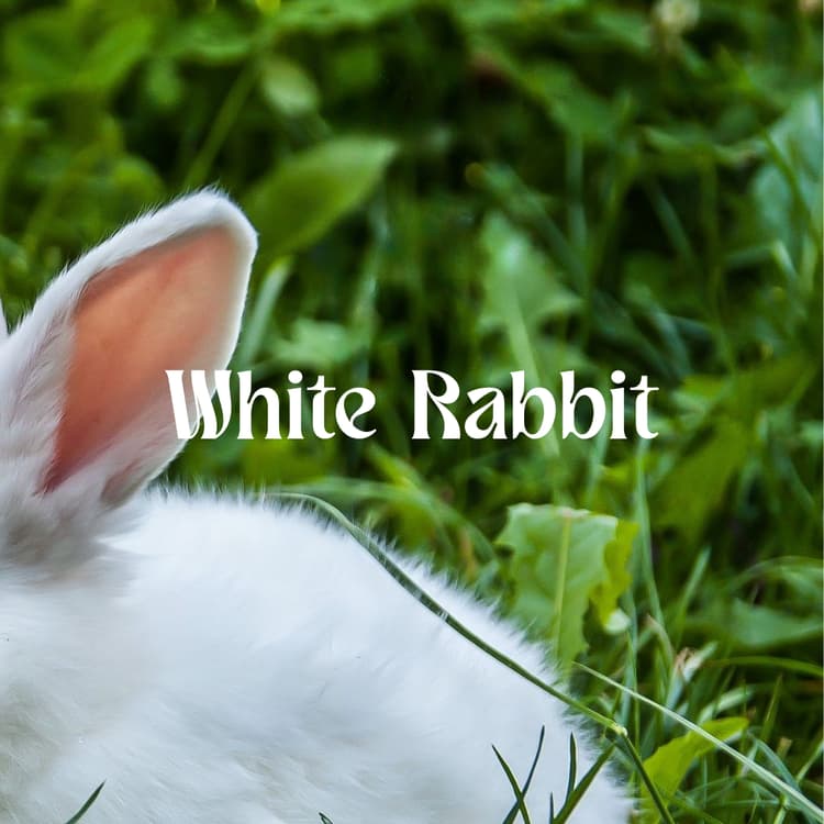 White Rabbit Perfume Bottle