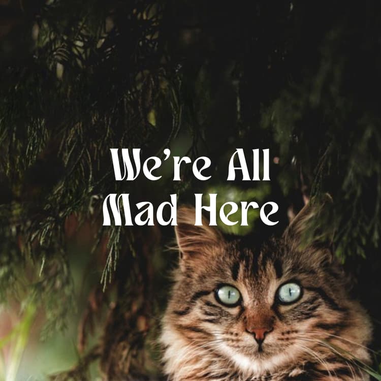 We're All Mad Here Perfume Bottle