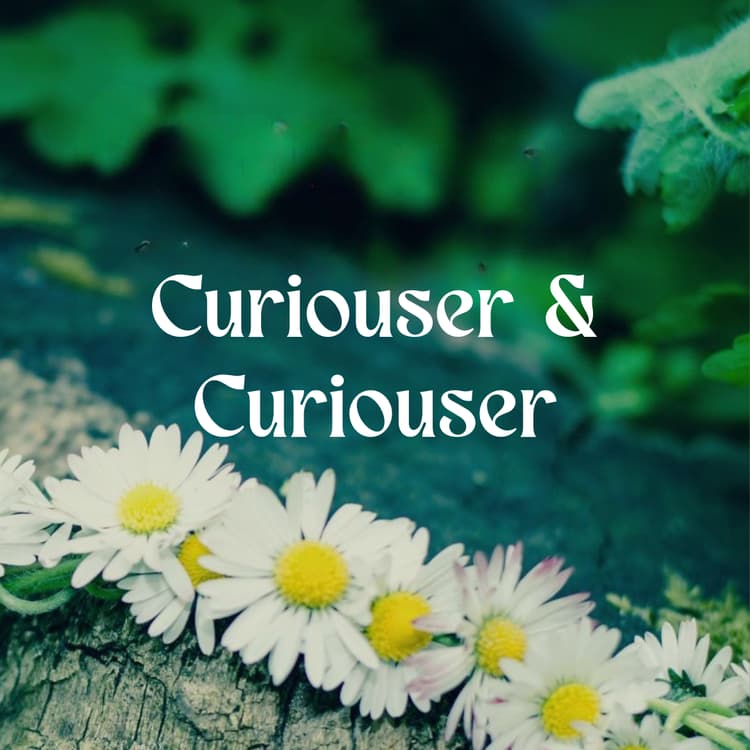 Curiouser & Curiouser Perfume Bottle