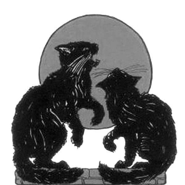 Black Cat Oil Perfume Bottle