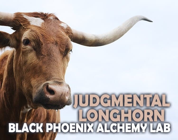 Judgmental Longhorn Perfume Bottle