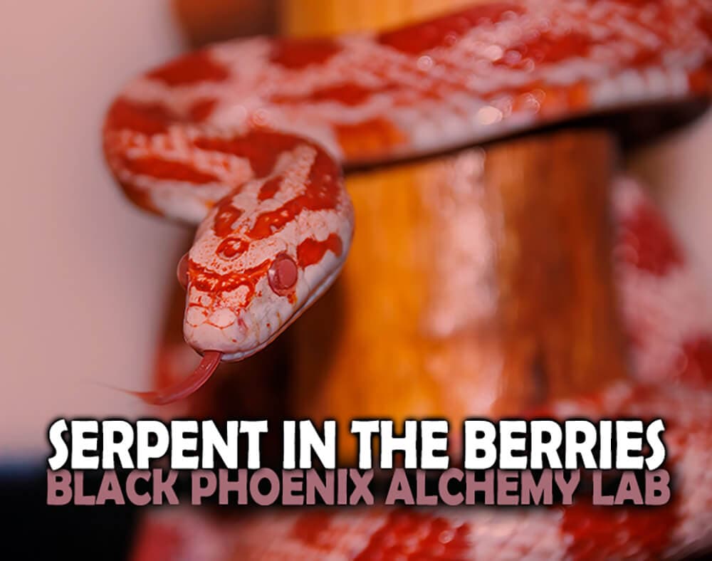 The Serpent in the Berries Perfume Bottle