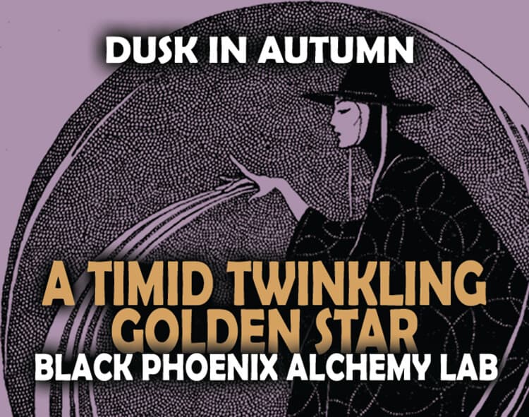 A Timid Twinkling Golden Star Perfume Bottle