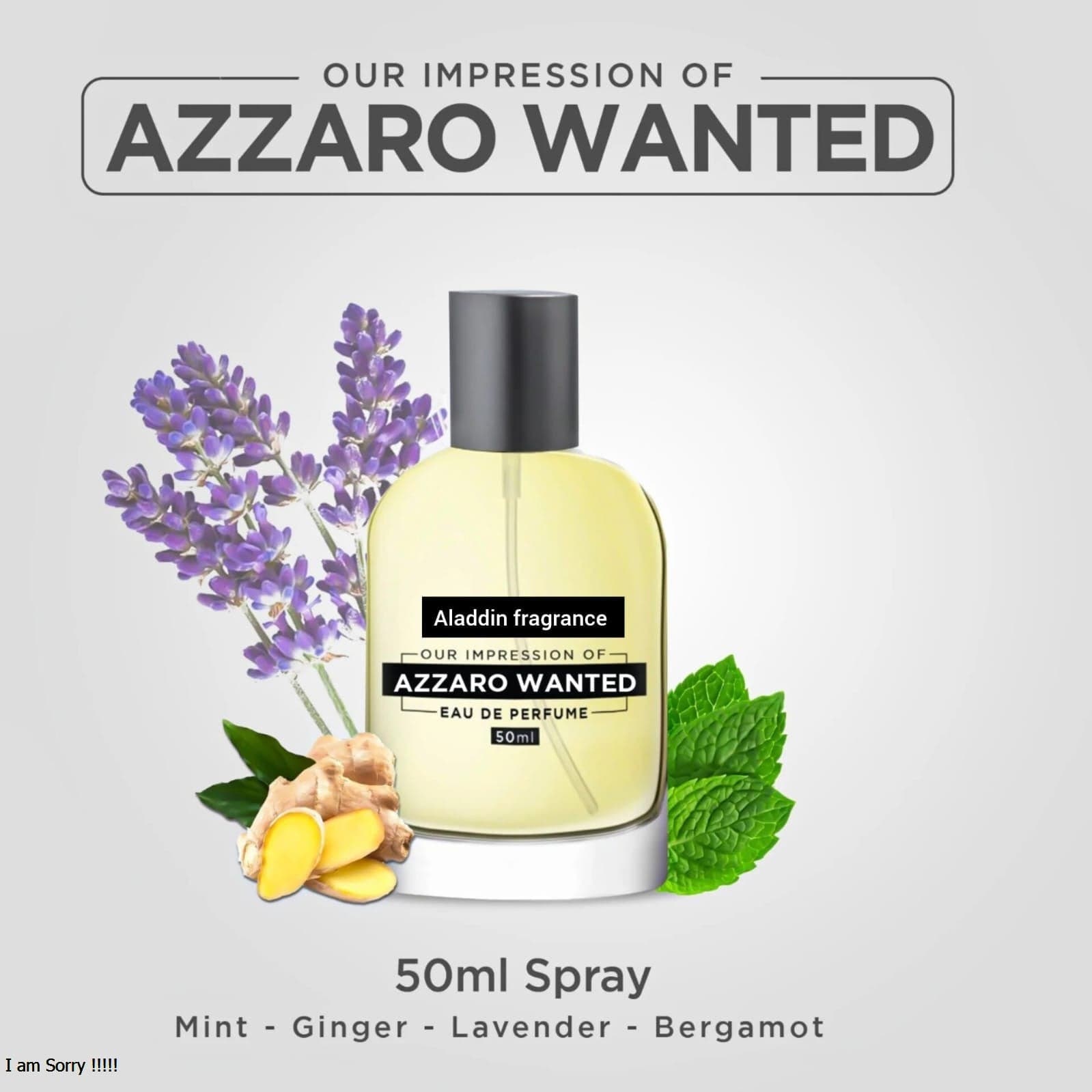 Azzaro Wanted Perfume For Men Perfume Bottle