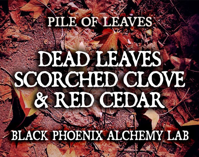 Dead Leaves, Scorched Clove, and Red Cedar Perfume Bottle