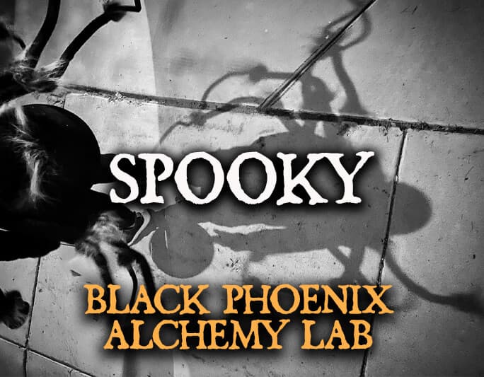 Spooky Perfume Bottle