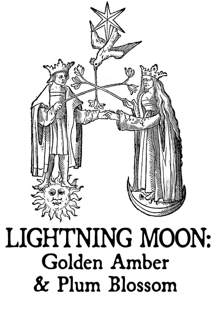 Lightning Moon: Golden Amber and Plum Blossom Perfume Bottle