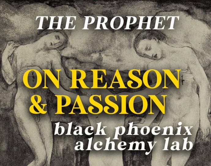 On Reason and Passion Perfume Bottle