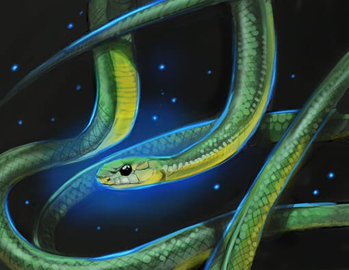 Boomslang Perfume Bottle