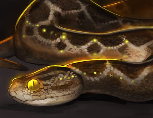 Saw-scaled Viper Perfume Bottle