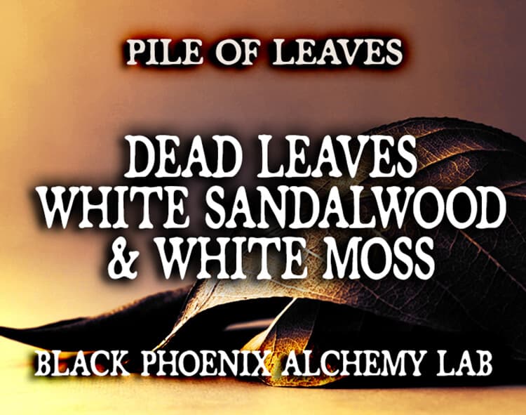 Dead Leaves, White Sandalwood, and White Moss Perfume Bottle