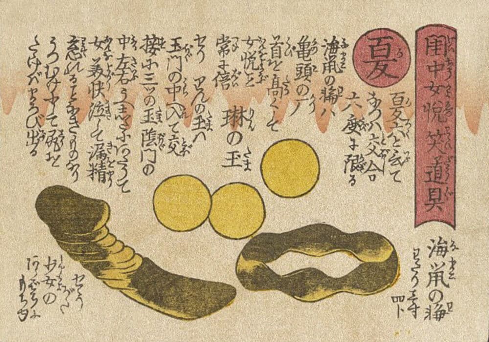 Sea-cucumber Ring, Jewel Balls, Small Dildo Perfume Bottle