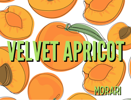 Velvet Apricot - Apricot, Cashmere, Chamomile, Blood Orange, Cardamom by Morari Perfumes