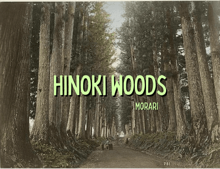 Hinoki Woods - Hinoki, Petrichor, Patchouli, Palmarosa Perfume Bottle
