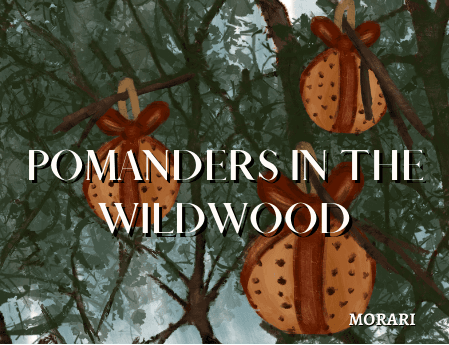 Pomanders In The Wildwood - Orange, Clove, Fir Balsam, Cold Air by Morari Perfumes