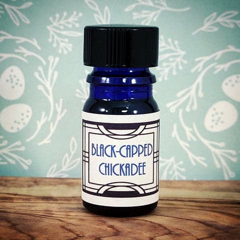 Black-capped Chickadee by Nui Cobalt Designs