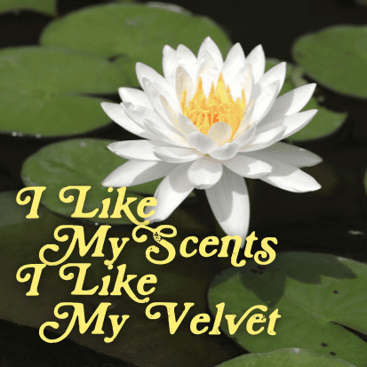 I Like My Scents I Like My Velvet by Pulp Fragrance