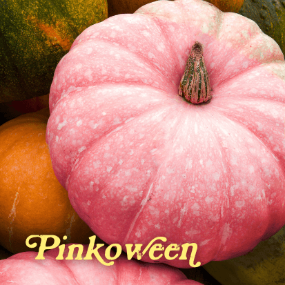Pinkoween Perfume Bottle