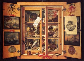Cabinet Of Curiosities by Alkemia Perfumes