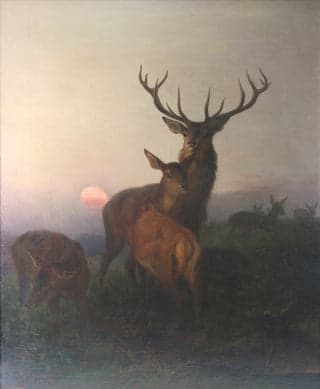 Nature Of The Beast Perfume Bottle