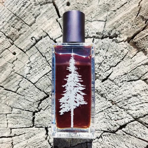 Pastoral - Severnoye Siyanie by Pineward Perfumes