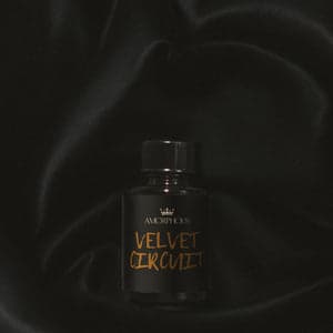 Velvet Circuit by Amorphous Perfume