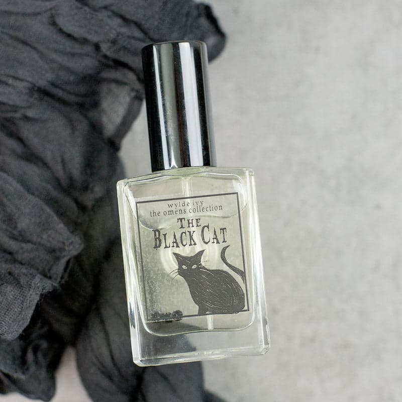 The Black Cat by Wylde Ivy