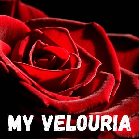 My Velouria Perfume Bottle