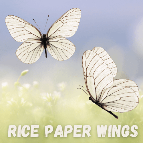 Rice Paper Wings Perfume Bottle