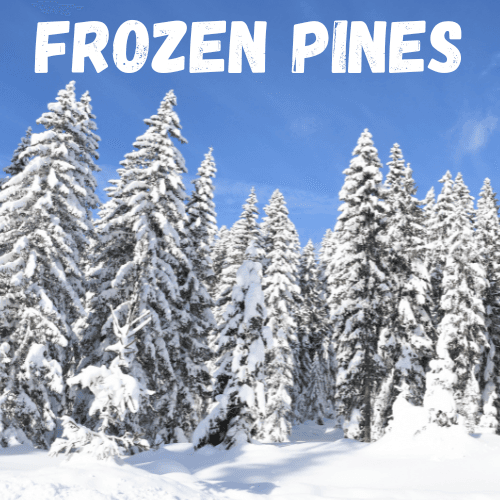 Frozen Pines Perfume Bottle