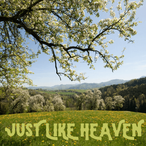 Just Like Heaven Perfume Bottle