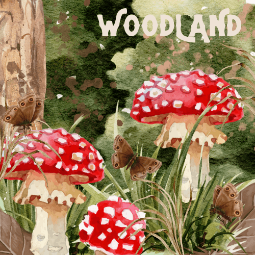 Woodland - Black Hearted Tart Perfume Bottle