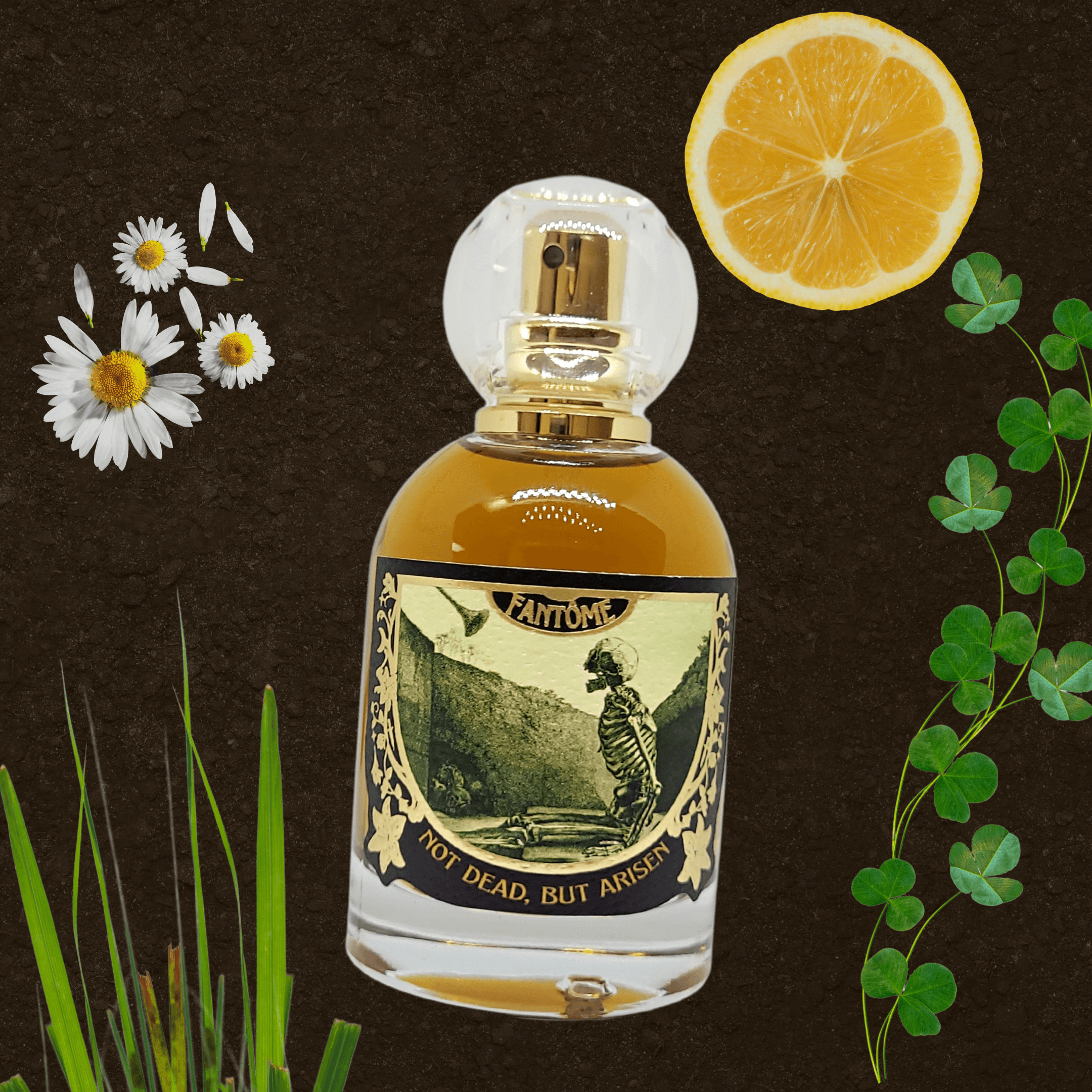Not Dead, But Arisen by Fantome Perfume