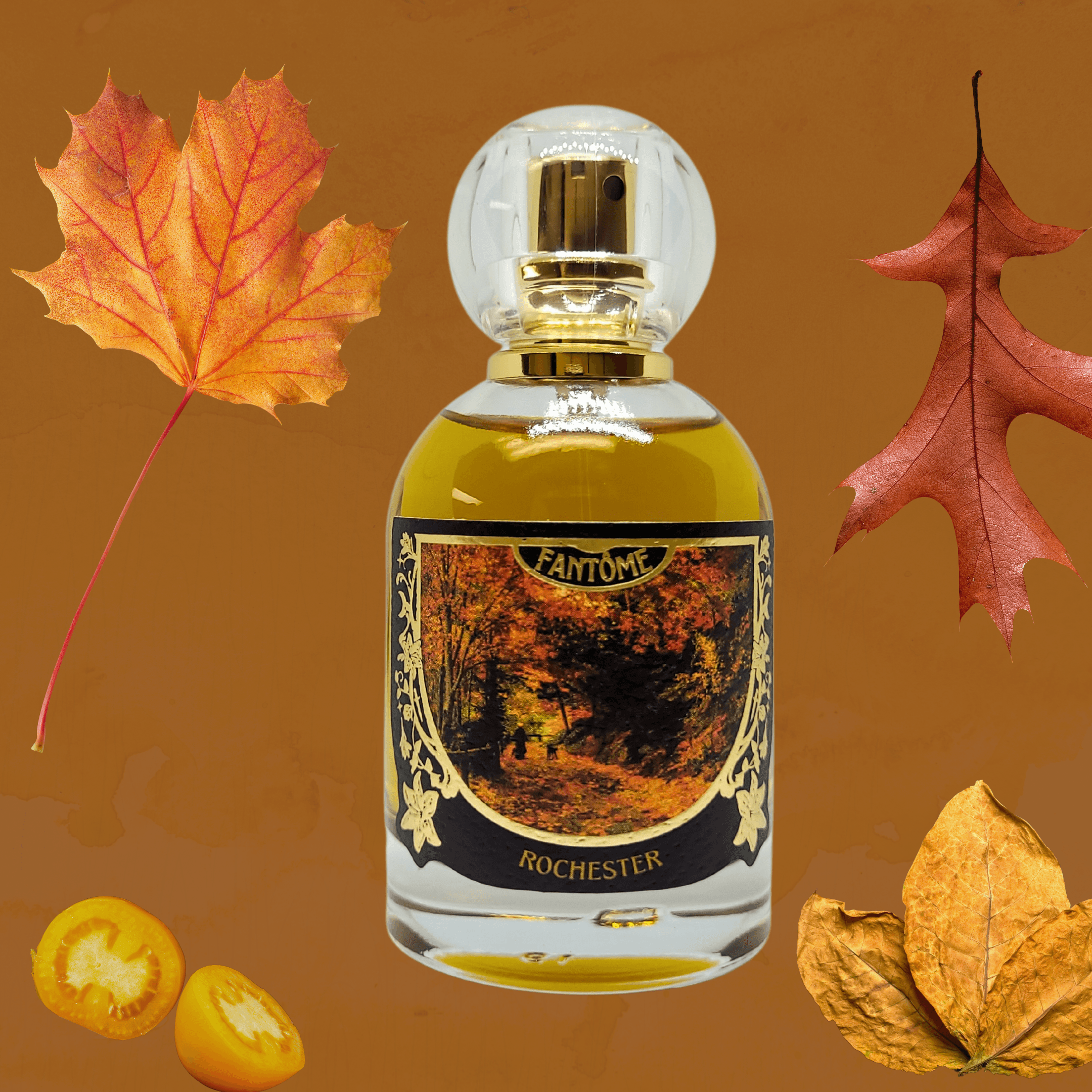 Rochester by Fantome Perfume