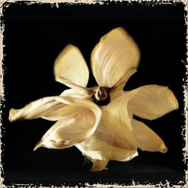 Loïe Noir Perfume Bottle