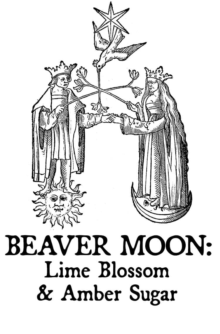 Beaver Moon: Lime Blossom & Amber Sugar Perfume Bottle