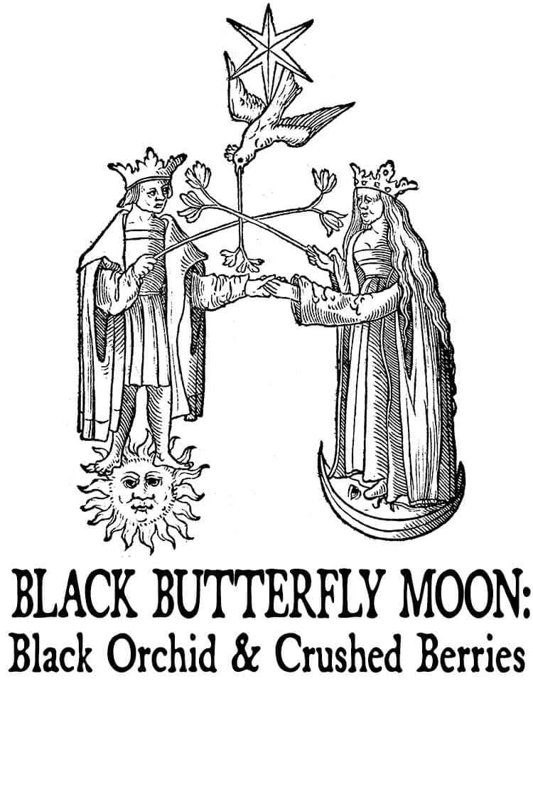 Black Butterfly Moon: Black Orchid and Crushed Berries Hair Gloss by Black Phoenix Alchemy Lab