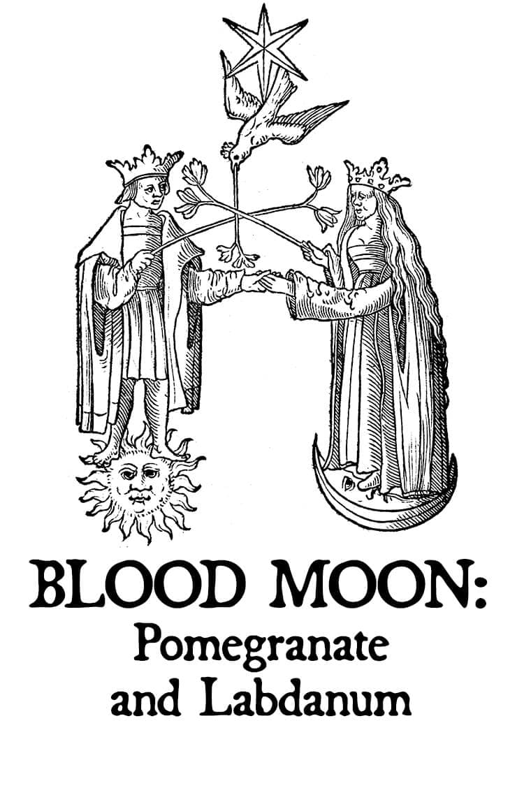 Blood Moon: Pomegranate and Labdanum Hair Gloss by Black Phoenix Alchemy Lab