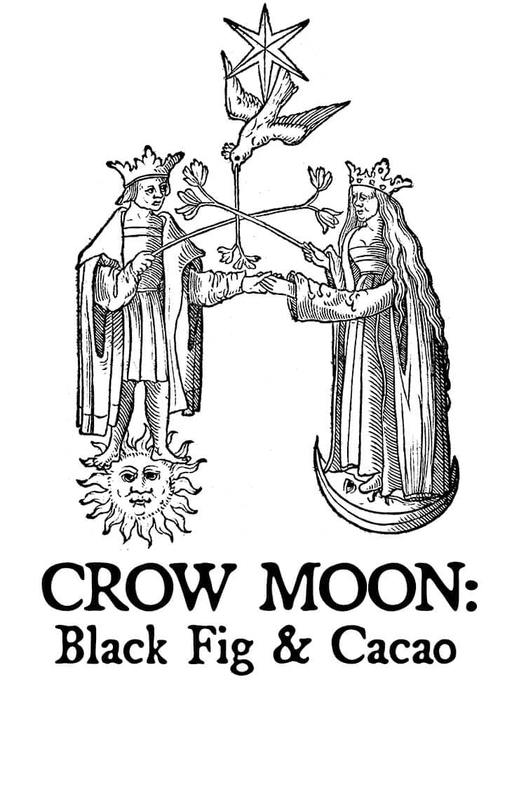 Crow Moon: Black Fig and Cacao Hair Gloss by Black Phoenix Alchemy Lab