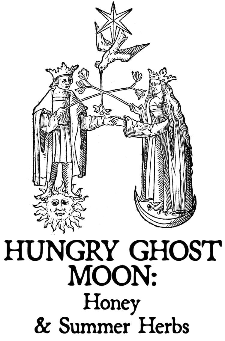 Hungry Ghost Moon: Honey and Summer Herbs Hair Gloss by Black Phoenix Alchemy Lab