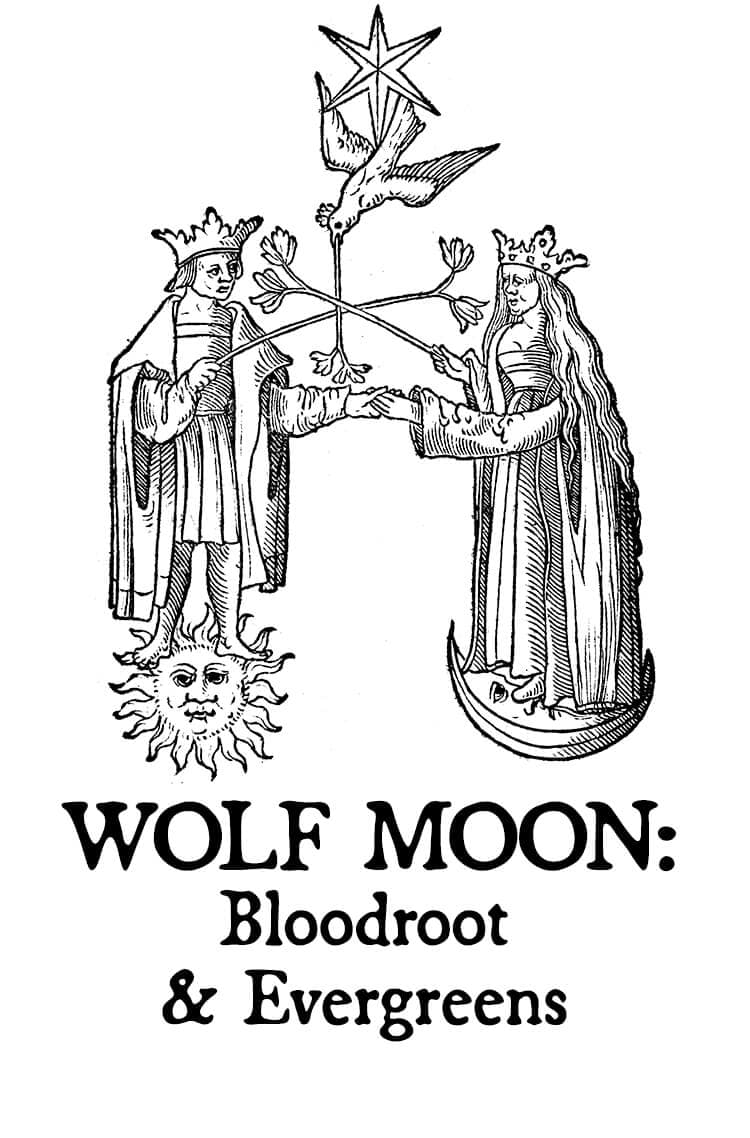 Wolf Moon: Bloodroot & Evergreens Perfume Bottle