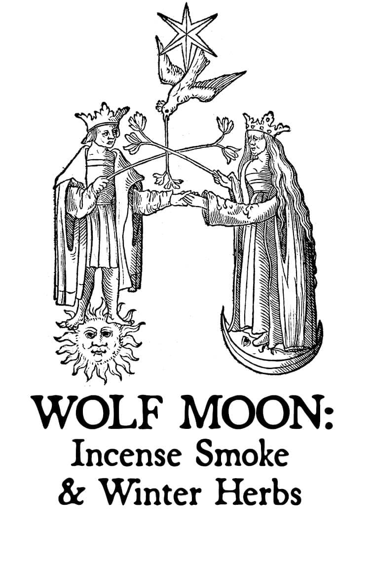 Wolf Moon: Incense Smoke & Winter Herbs by Black Phoenix Alchemy Lab